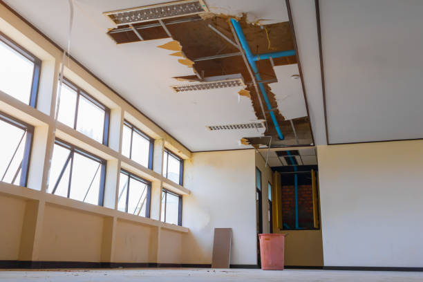 Best Sewage cleanup and water damage restoration  in Hobart, WI