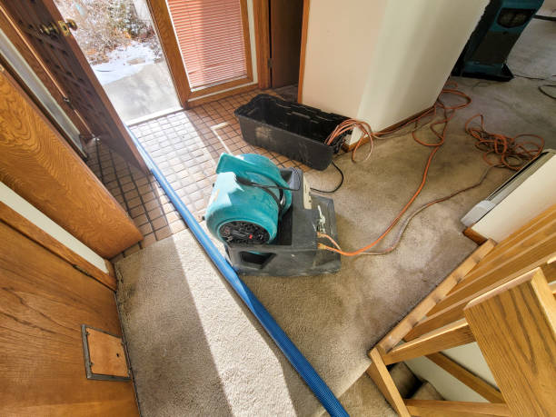 Best Water damage contractors near me  in Hobart, WI
