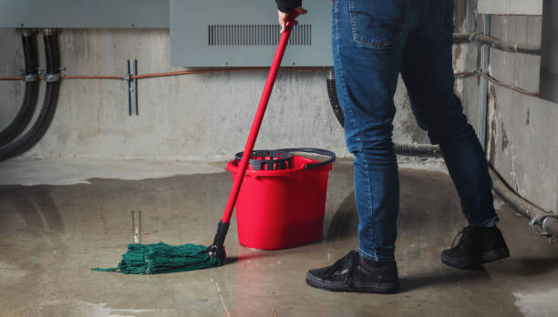 Best Carpet water damage restoration  in Hobart, WI