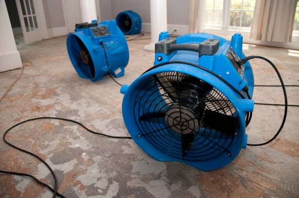 Water damage restoration insurance claims in Hobart, WI