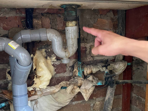 Best Flooded house restoration  in Hobart, WI