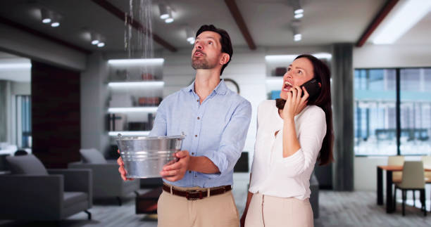 Best Water damage restoration services  in Hobart, WI