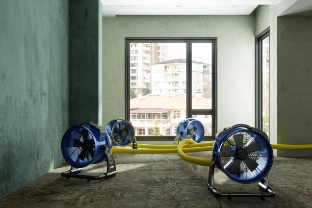  Hobart, WI Water damage restoration Pros
