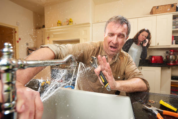 Best Flood restoration services  in Hobart, WI